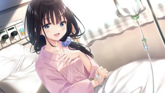 Sickly Days and Summer Traces Free Download gameplay screenshot 1