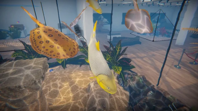 Aquarist – American Fish Free Download gameplay screenshot 1
